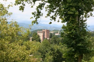 Le torri del Castello di Romeo a Montecchio Maggiore (1)