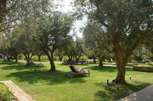 Iberotel Apulia-parco degli ulivi