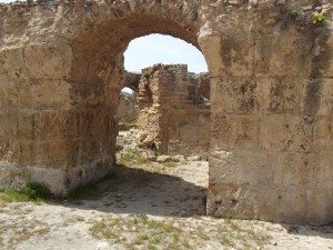 le terme di Antonino Pio a Cartagina (1)